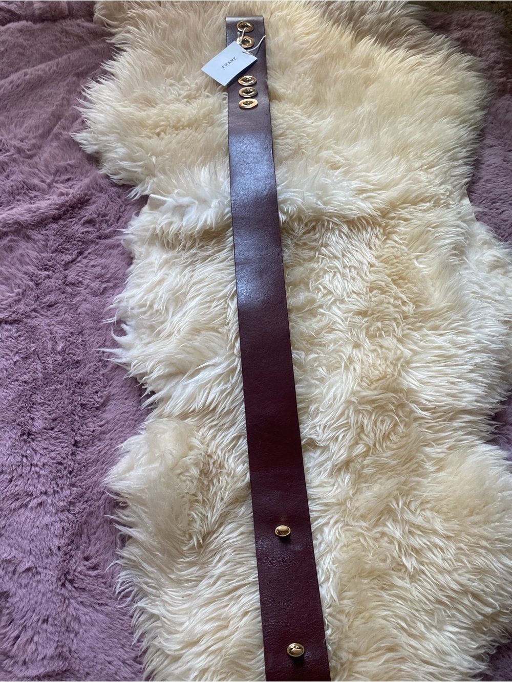 Frame Designer belt
